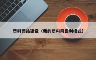 嵊州塑料网站建设（我的塑料网盈利模式）