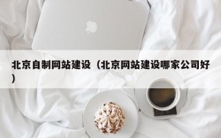 嵊州北京自制网站建设（北京网站建设哪家公司好）