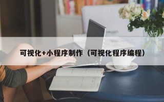 嵊州可视化+小程序制作（可视化程序编程）